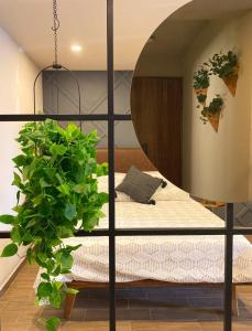 Layoo, Tu casa en Oaxaca 101