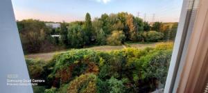 Villas Belle Demeure en bord de Seine : photos des chambres