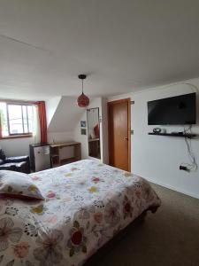 Habitación con baño privado vista al volcán