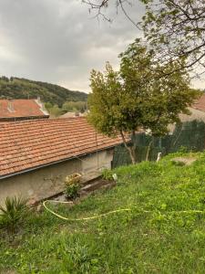 Maisons de vacances La Cigale Ardechoise : photos des chambres