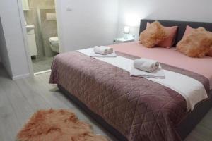 Apartments with a parking space Sinj, Zagora - 21628