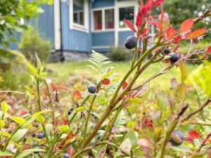 4 star holiday home in KARLSHAMN-By Traum