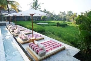 Shore Amora Canggu