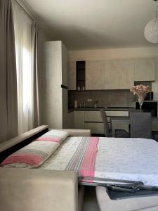 L'isola felice img19