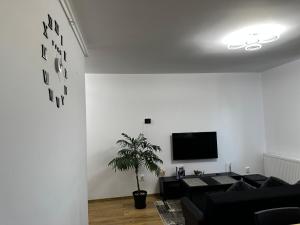 Apartament Elena