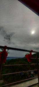 Himalayan Musaafir Guest House & Restaurant