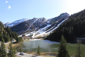 One-Bedroom Apartment room in Alpen Appartements