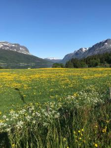 The Olav-house from 1840, at farm Ellingbø