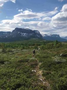 The Olav-house from 1840, at farm Ellingbø