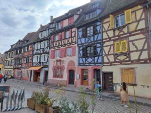 Appartements Plaisirs d'Alsace : photos des chambres