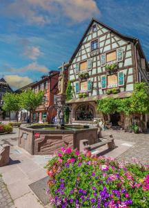 Appartements Plaisirs d'Alsace : photos des chambres