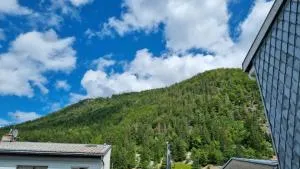 Appartement T3 60m2 calme - Lézat