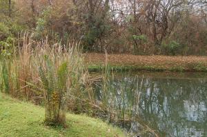 Nitas Air Bed & Breakfast & self catering