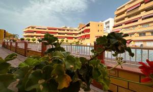 los Gigantes Jardines del Mar