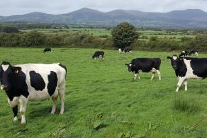 Apartment with Private Pool Sleeps 5