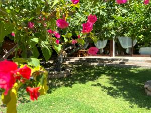 Villa Niloan Olbia img20