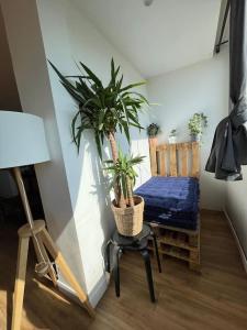 Joli duplex de 75m2 à 10mn à pieds de la plage