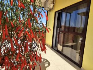 Sokol Guest House