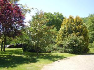 B&B / Chambres d'hotes Moulin de Latouille : photos des chambres