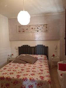 Cavalluccio Marino img27