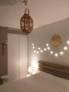 Appartements Sur les toits d'Orleans : photos des chambres