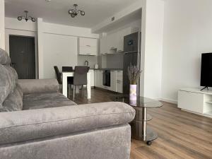 SILVER APARTMENT Sinaia