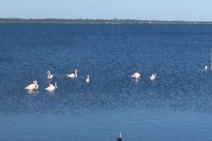 Villas Villa avec SPA & vue panomarique sur l'Etang : photos des chambres