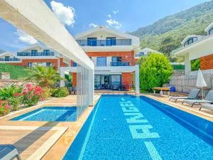 Villa Alya, spacious 4 bed villa with private pool - Cedit