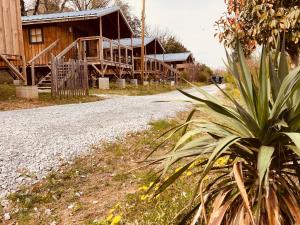 Campings Lodges du Camping les 4 Saisons : Chalet 1 Chambre