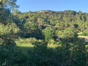 Maisons de vacances le cabanon du sud luberon : photos des chambres