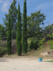 Maisons de vacances le cabanon du sud luberon : photos des chambres