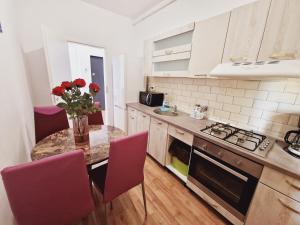 Ultracentral 5* Boutique Hotel style apartment. Brand new. 2 rooms. Spacious. Free parking