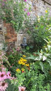 Maisons de vacances Le Jardin des Murmures : photos des chambres