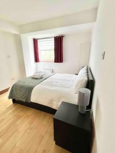 Modern apt in heart of Dublin