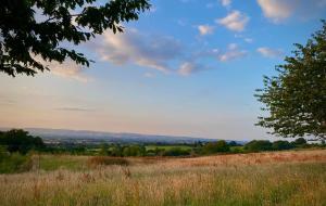 Cherry Tree Glamping Lodge