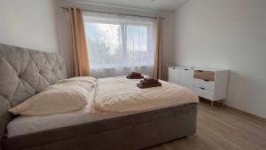 2 room Apartment, with terrace, Rovinka, 302