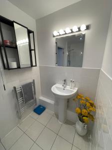 Peloton Organic Health Apartment in Angel, Old Street, Islington