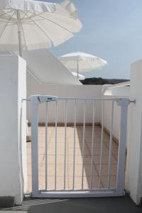 Canaima 307