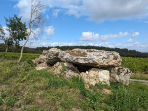 B&B / Chambres d'hotes Chambre Gargantua Le dolmen : photos des chambres