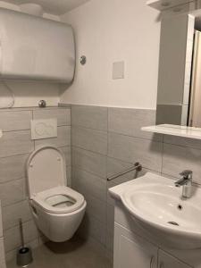 Apartment Mate Wohnung 2