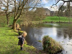 Maisons de vacances Gite en pleine nature avec etang : photos des chambres