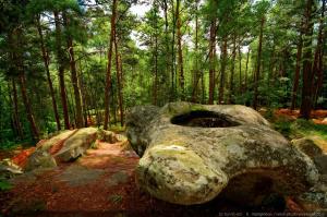 Appartements Gite a la ferme avec sauna, foret de Fontainebleau : photos des chambres