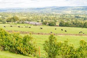 Pendle View Sleeps 8 with Hot Tub