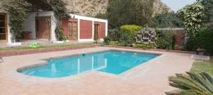 Las buganvilias - Tambo Inga