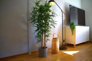 Moon apartment near the Centre ! Free parking available !