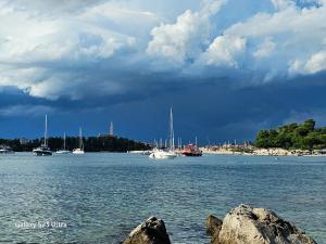 Apartments Ivo Rovinj Croatia