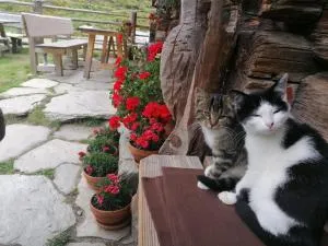 Birnbaum Chalets Grossarl - Hüttschlag