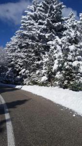 Άγρια Λούλουδα Κατοικία Ευτυχία