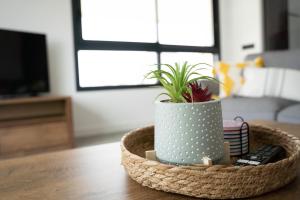 Relaxing Calpe Luxury Vacation