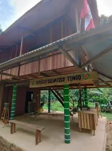 Refugio Selvático Tingo - Daniel Alomias Robles